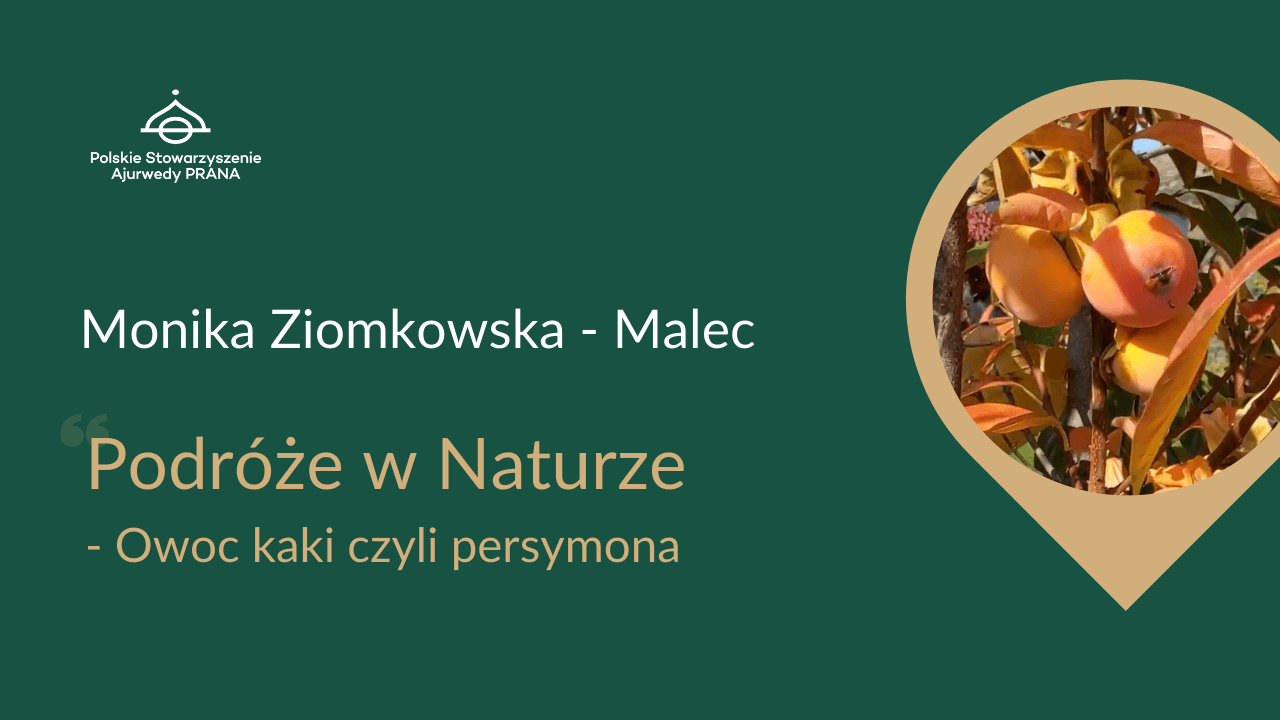 Podróże w Naturze „Owoc kaki czyli persymona” – Monika Ziomkowska – Malec