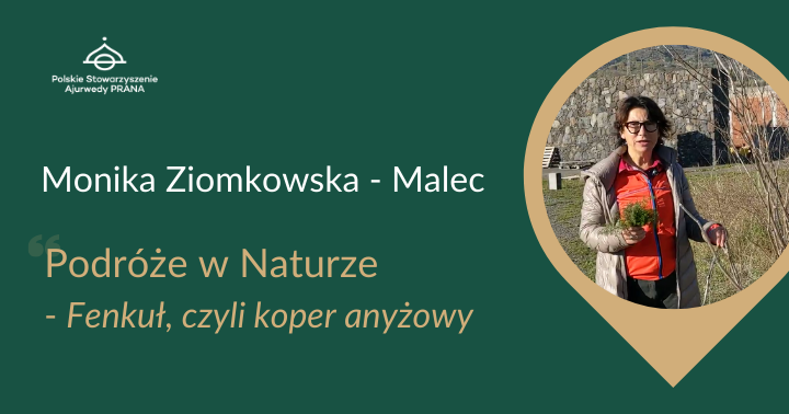 Podróże w Naturze „Fenkuł” – Monika Ziomkowska – Malec